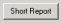 Report